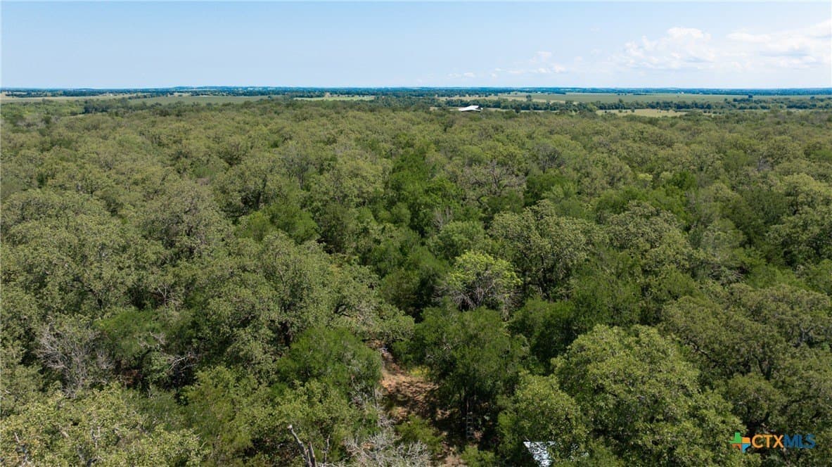 120.96 acres in Milam County - photo 28
