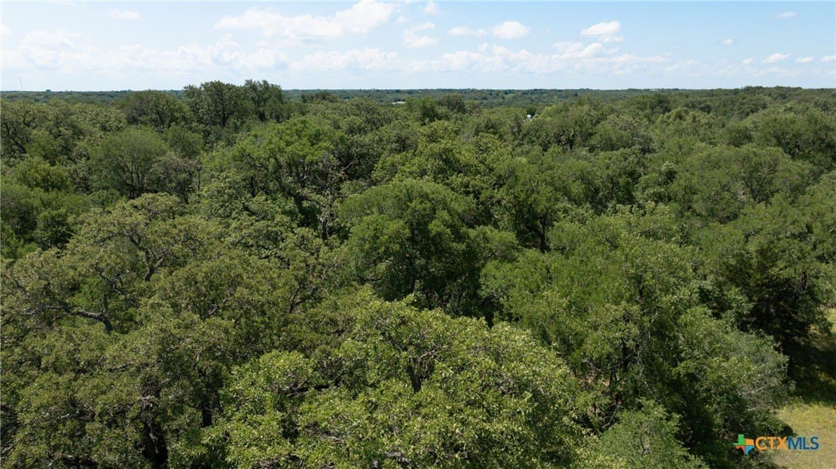 120.96 acres in Milam County - photo 41