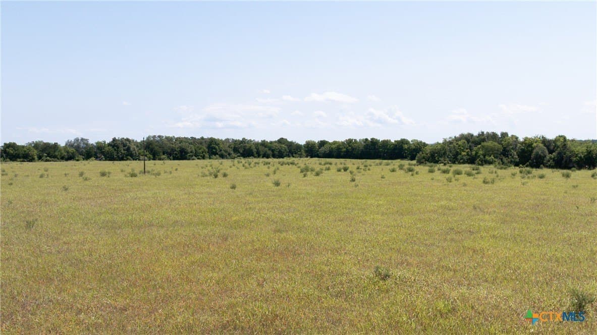 120.96 acres in Milam County - photo 24