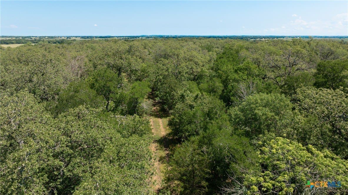 120.96 acres in Milam County - photo 39