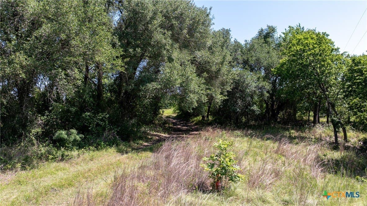 120.96 acres in Milam County - photo 25