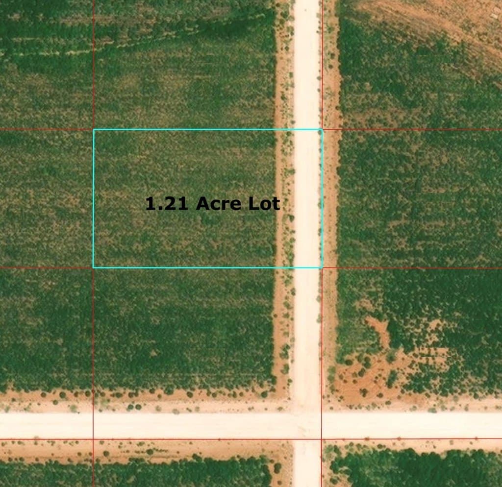 1.21 acres in Gaines County gallery image 2