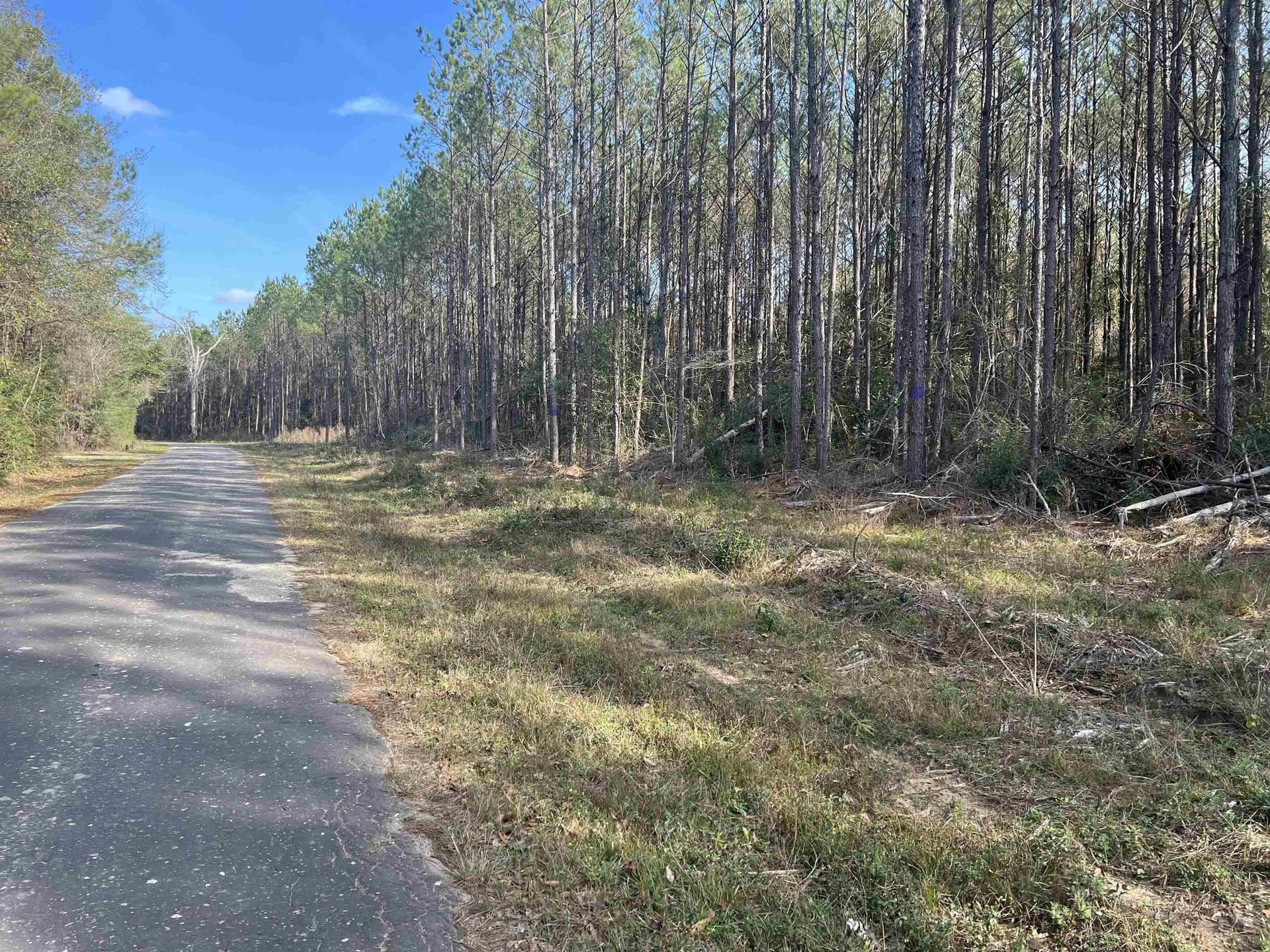 14.52 acres in Texas County