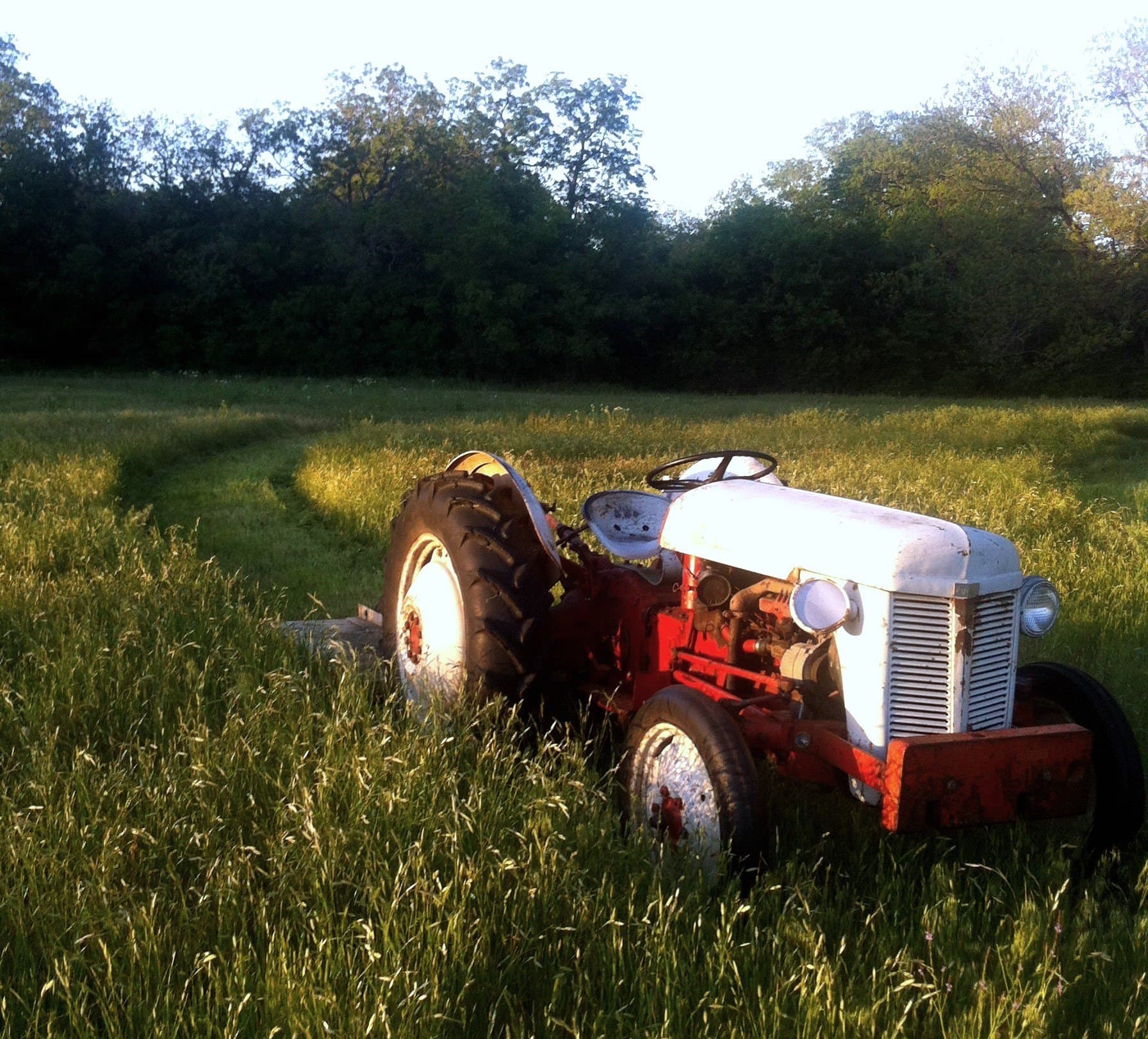 7 acres in Erath County featured view