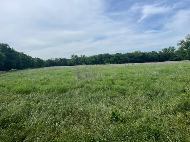 7 acres in Erath County gallery image 2