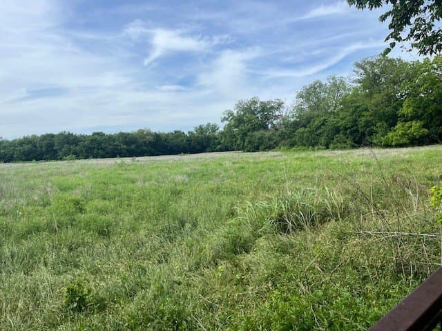 7 acres in Erath County gallery image 3