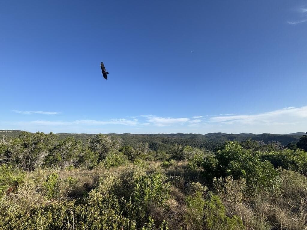 5.61 acres in Real County - photo 8