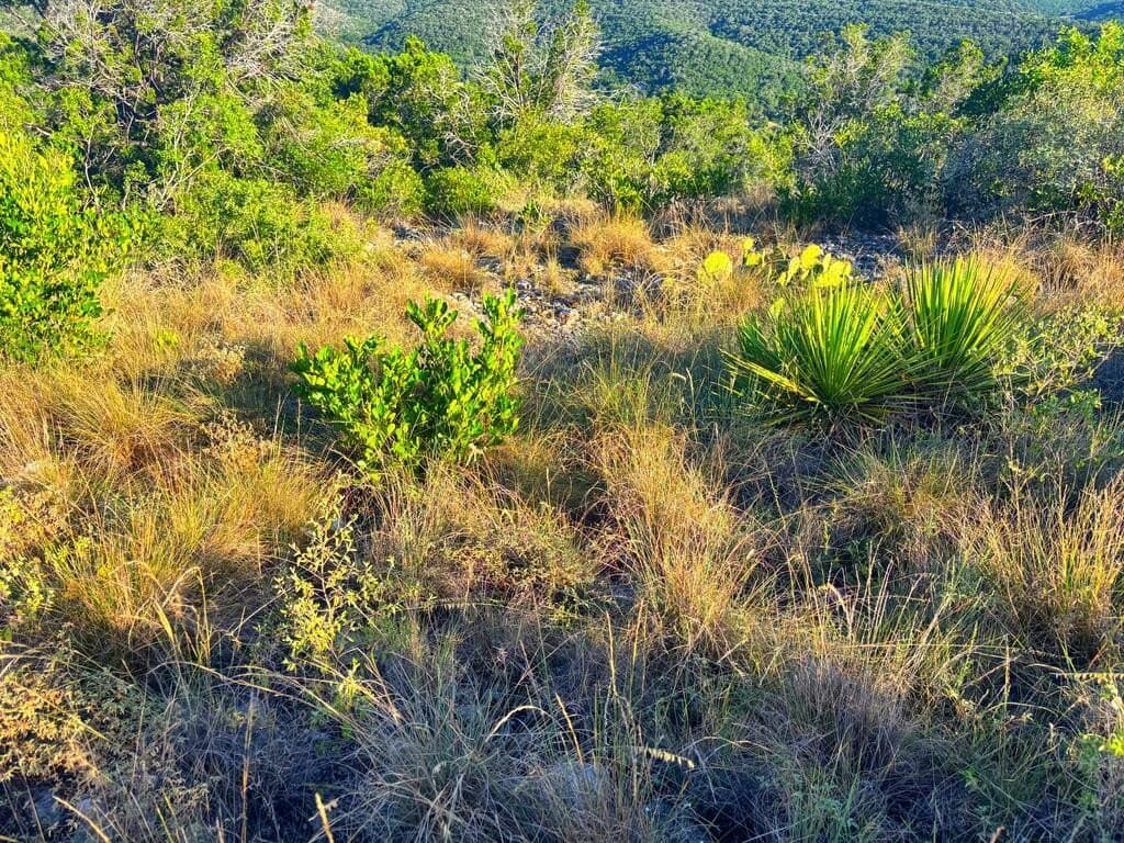 5.61 acres in Real County - photo 4