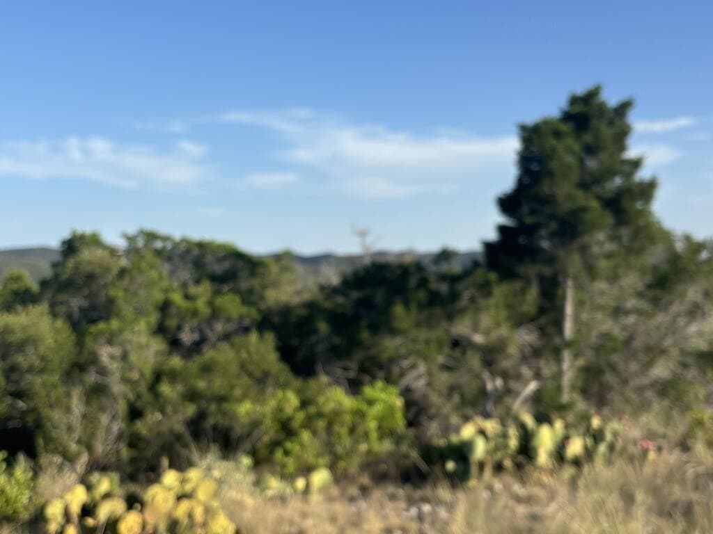 5.61 acres in Real County - photo 11