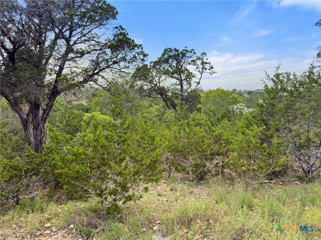 1.44 acres in Comal County gallery image 4