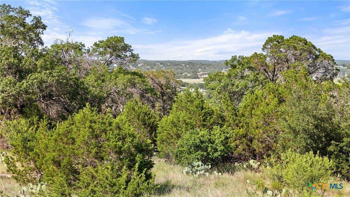 1.44 acres in Comal County gallery image 2