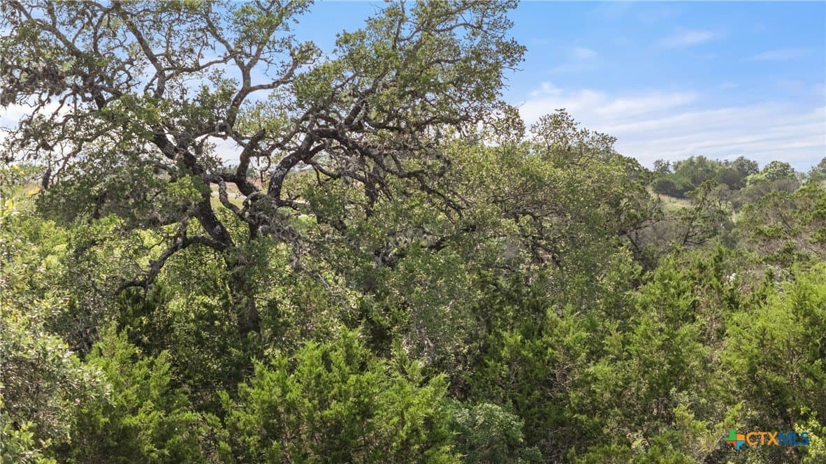 1.44 acres in Comal County gallery image 3