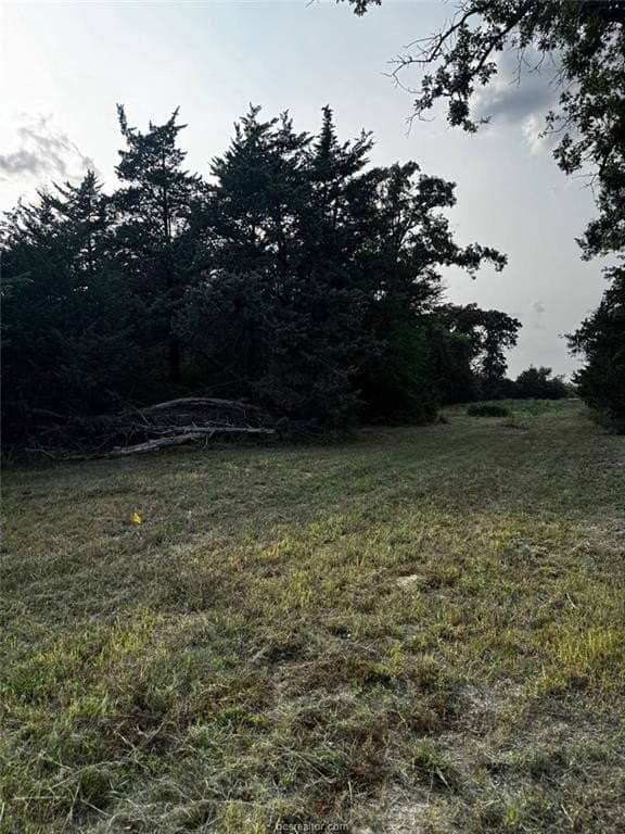 41.55 acres in Robertson County - photo 13