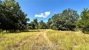 41.55 acres in Robertson County gallery image 3