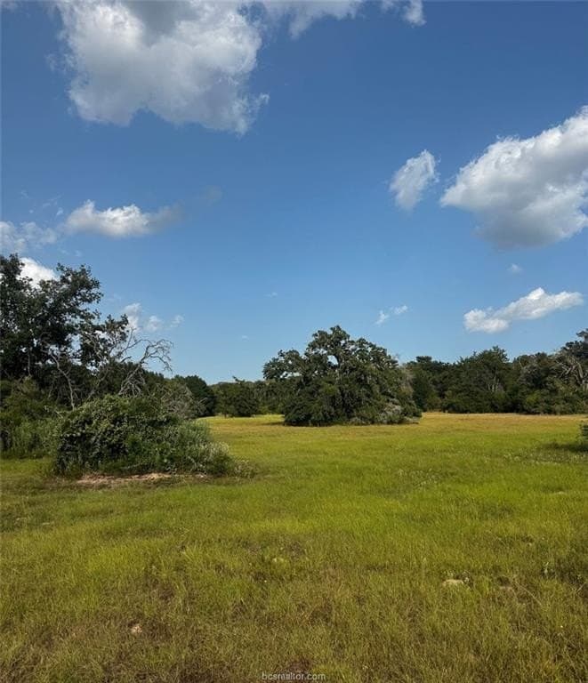 41.55 acres in Robertson County - photo 10