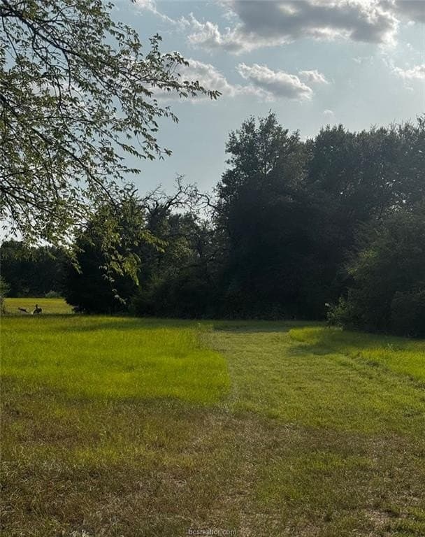41.55 acres in Robertson County - photo 5