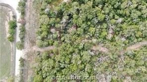 41.55 acres in Robertson County featured view