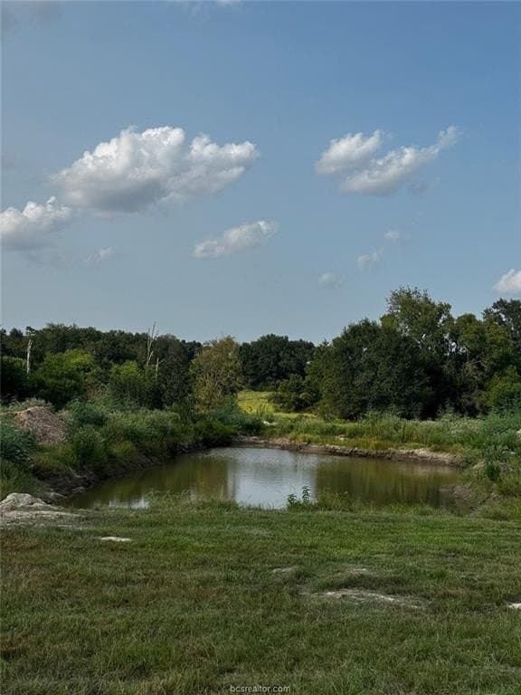 41.55 acres in Robertson County - photo 9