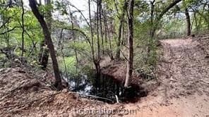 41.55 acres in Robertson County gallery image 2