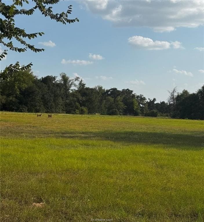 41.55 acres in Robertson County - photo 6