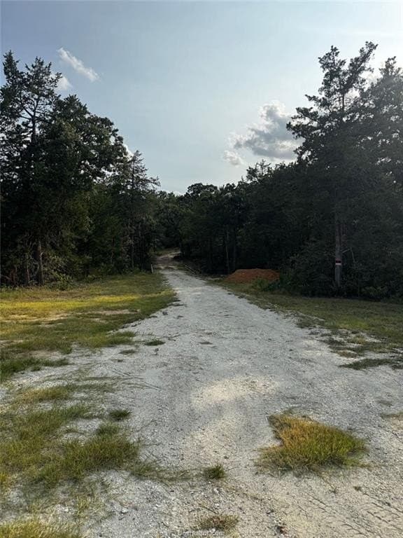 41.55 acres in Robertson County - photo 15