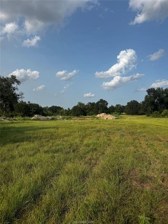 41.55 acres in Robertson County - photo 8