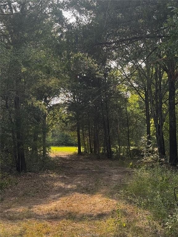 41.55 acres in Robertson County - photo 4