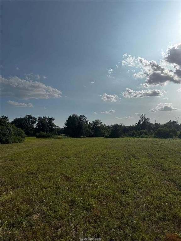 41.55 acres in Robertson County - photo 7