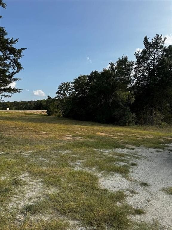 41.55 acres in Robertson County - photo 14