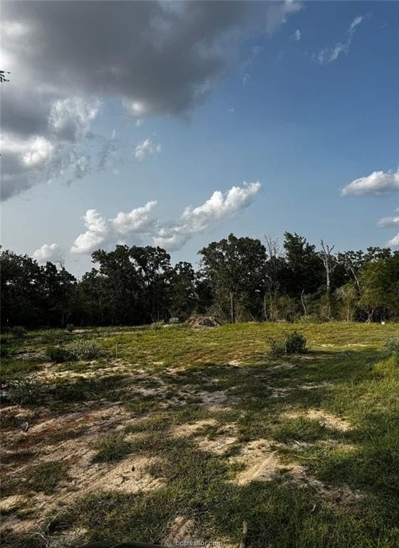 41.55 acres in Robertson County - photo 11