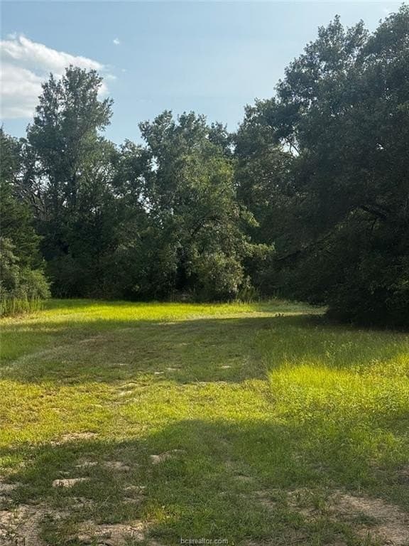 41.55 acres in Robertson County - photo 3
