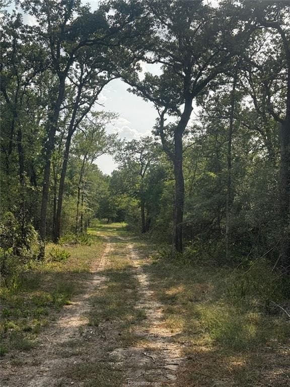41.55 acres in Robertson County - photo 2