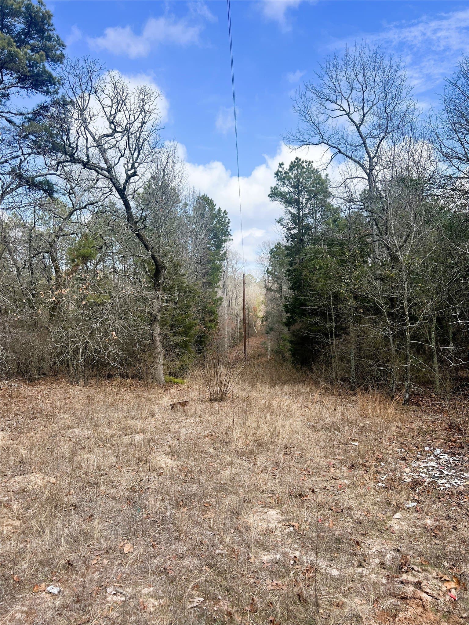 21.5 acres in Wood County - photo 8