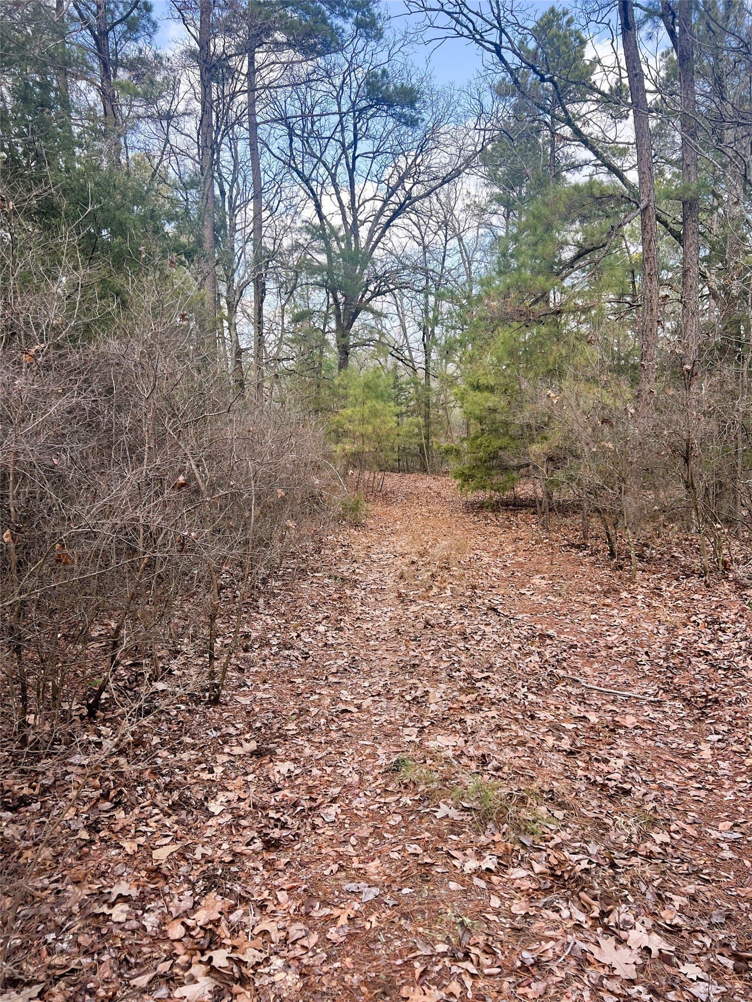 21.5 acres in Wood County