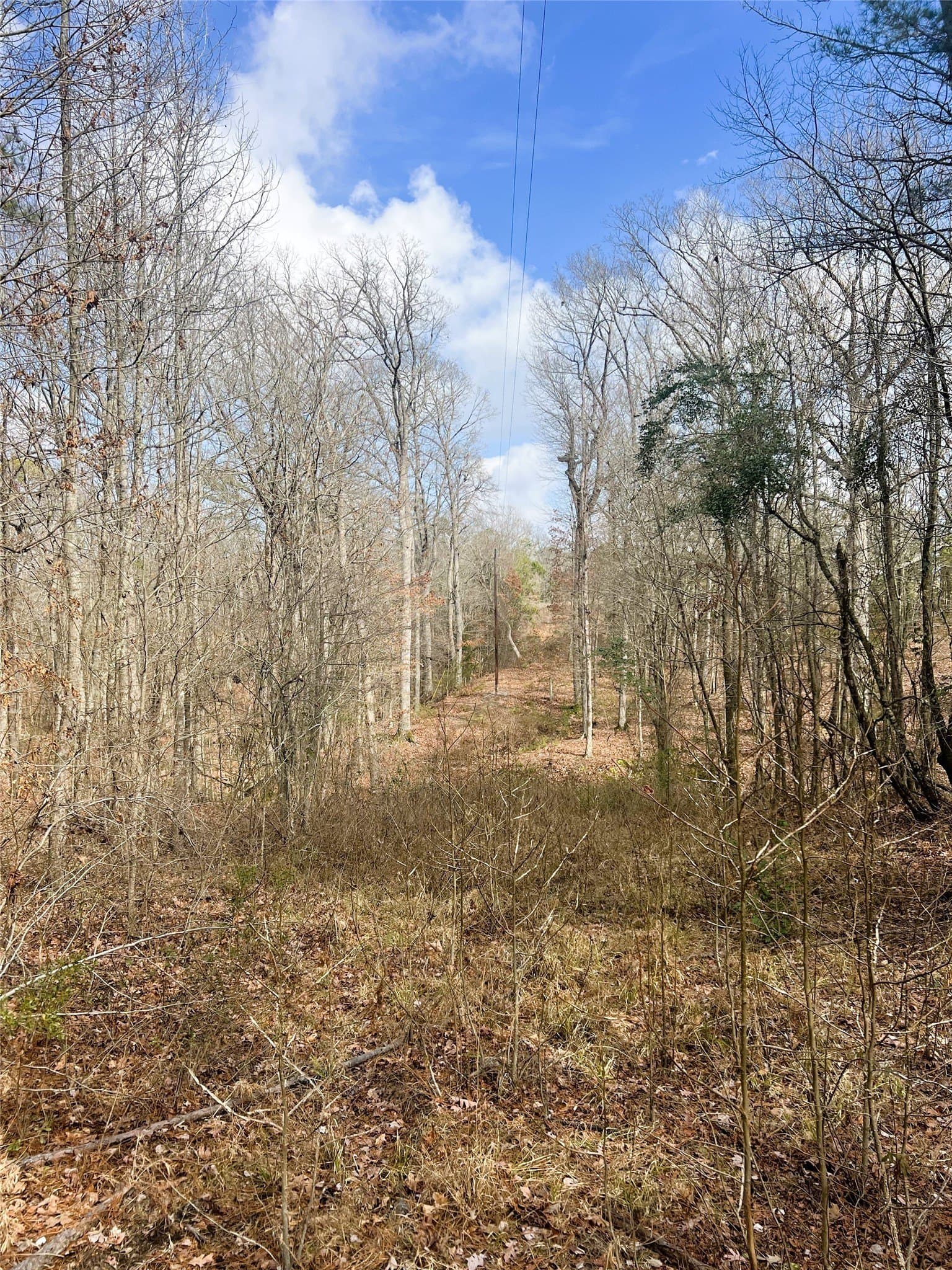21.5 acres in Wood County - photo 10