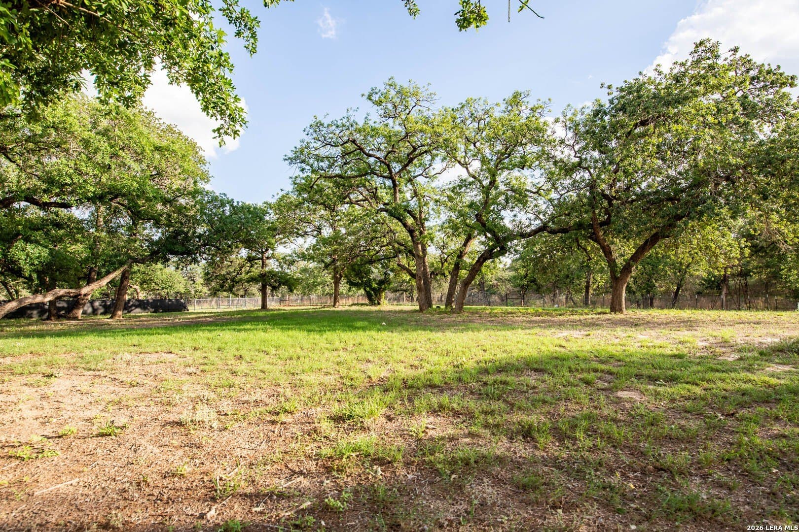 61.36 acres in Wilson County featured view