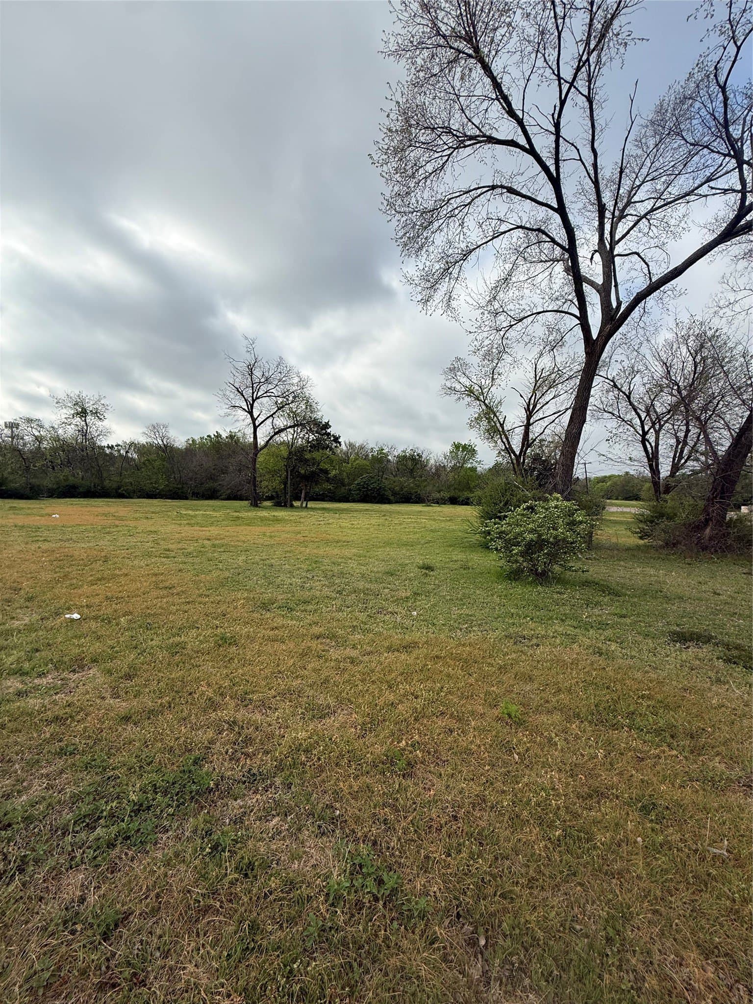 1.25 acres in Dallas County - photo 2