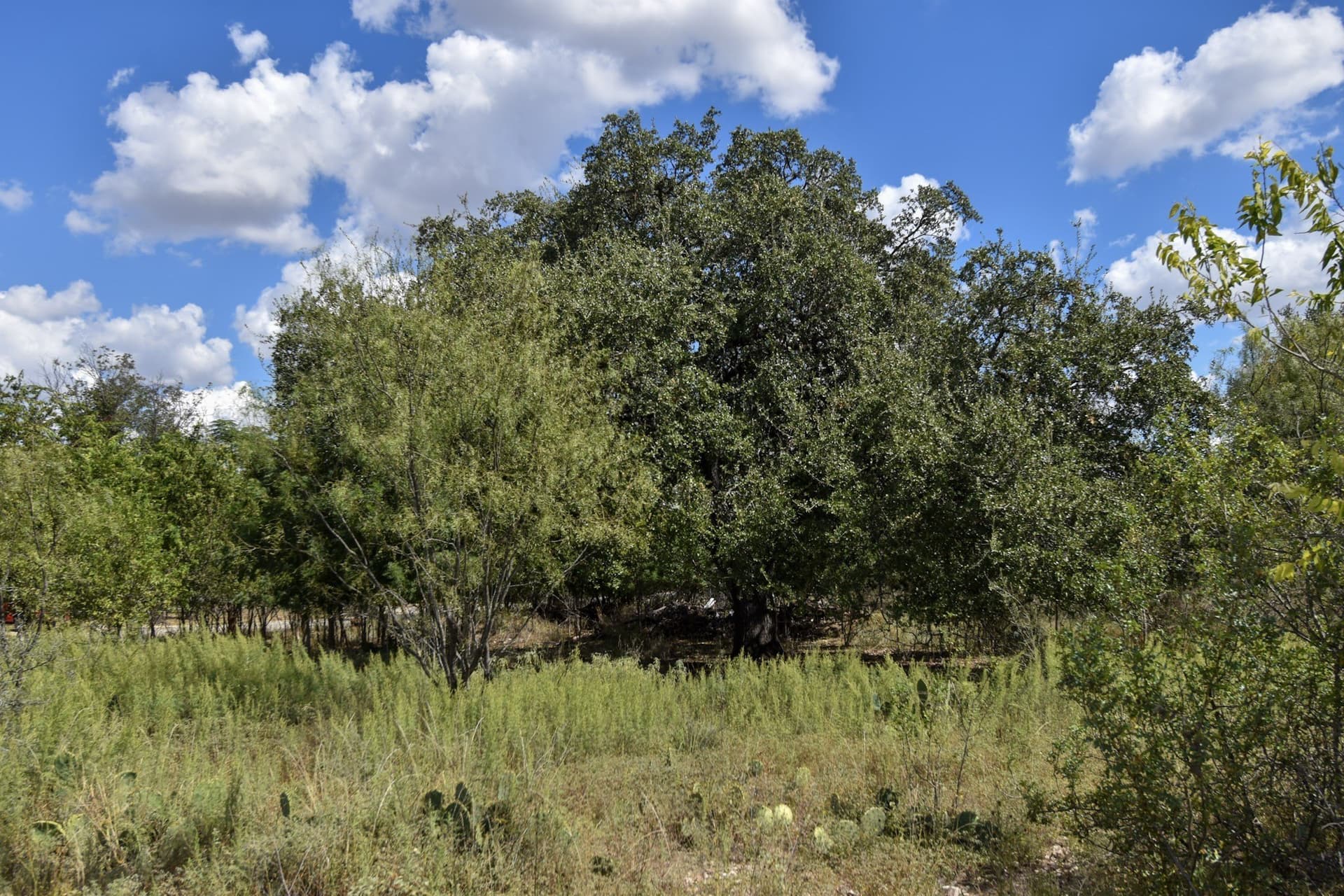 0.46 acres in McCulloch County