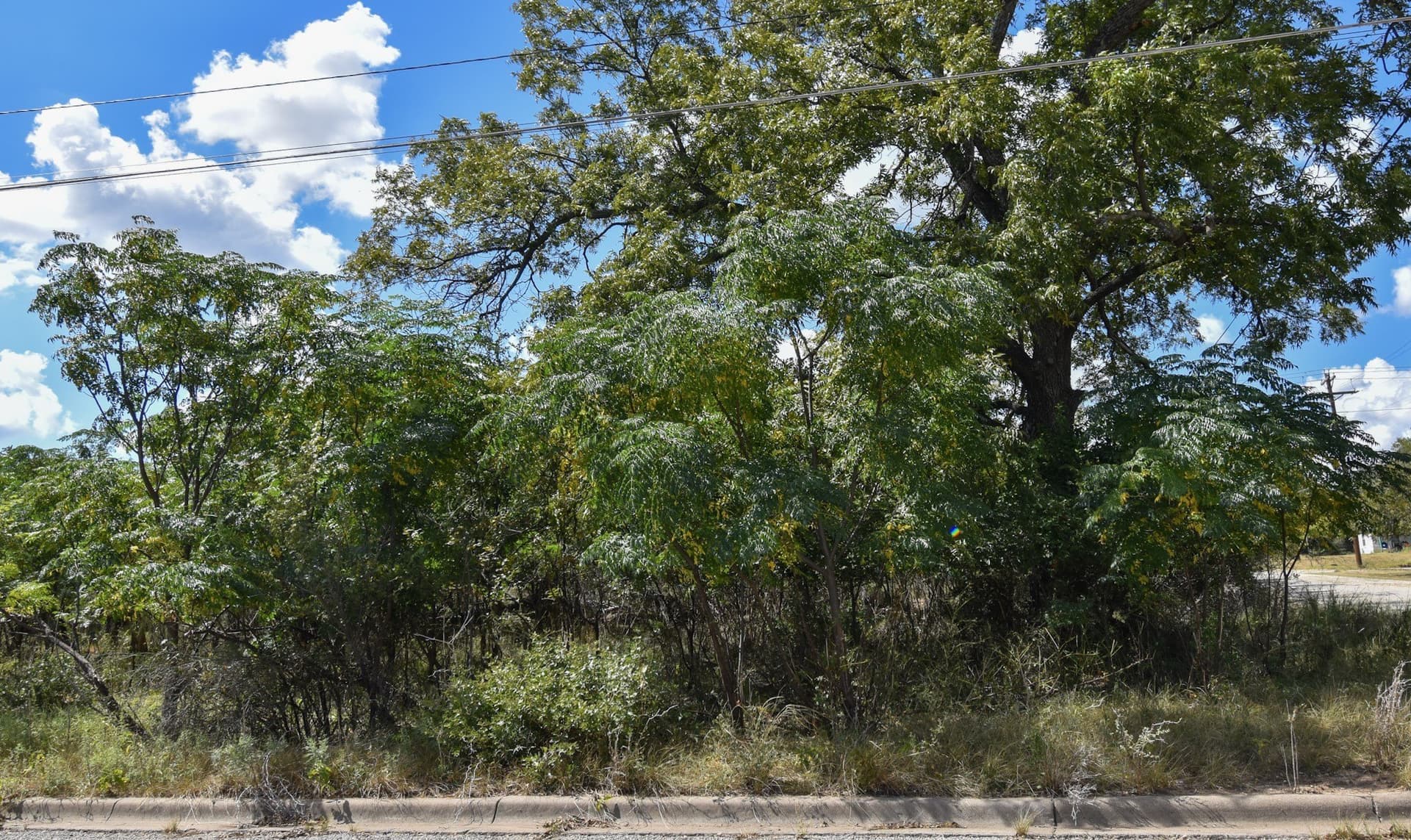 0.46 acres in McCulloch County - photo 4