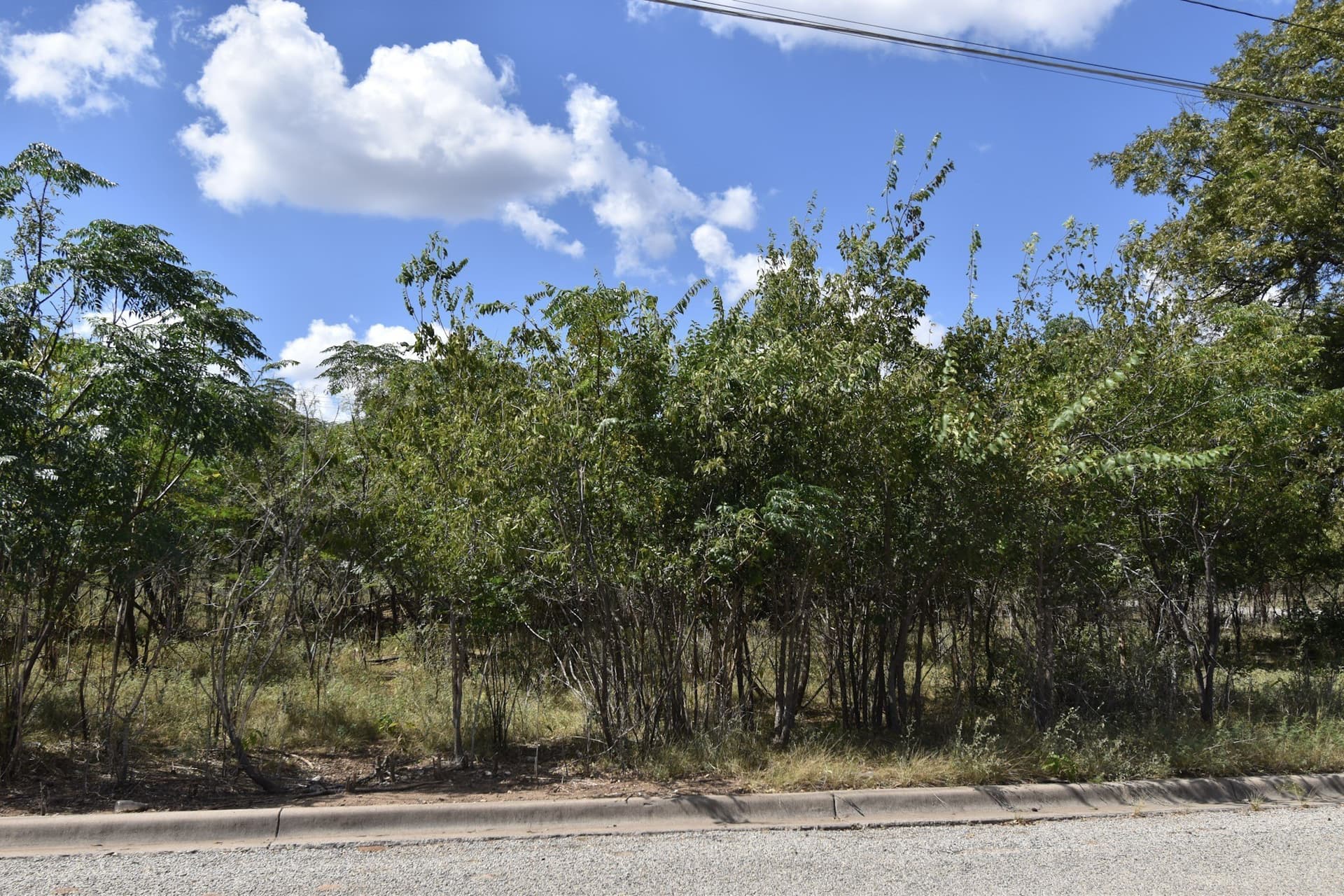 0.46 acres in McCulloch County - photo 2