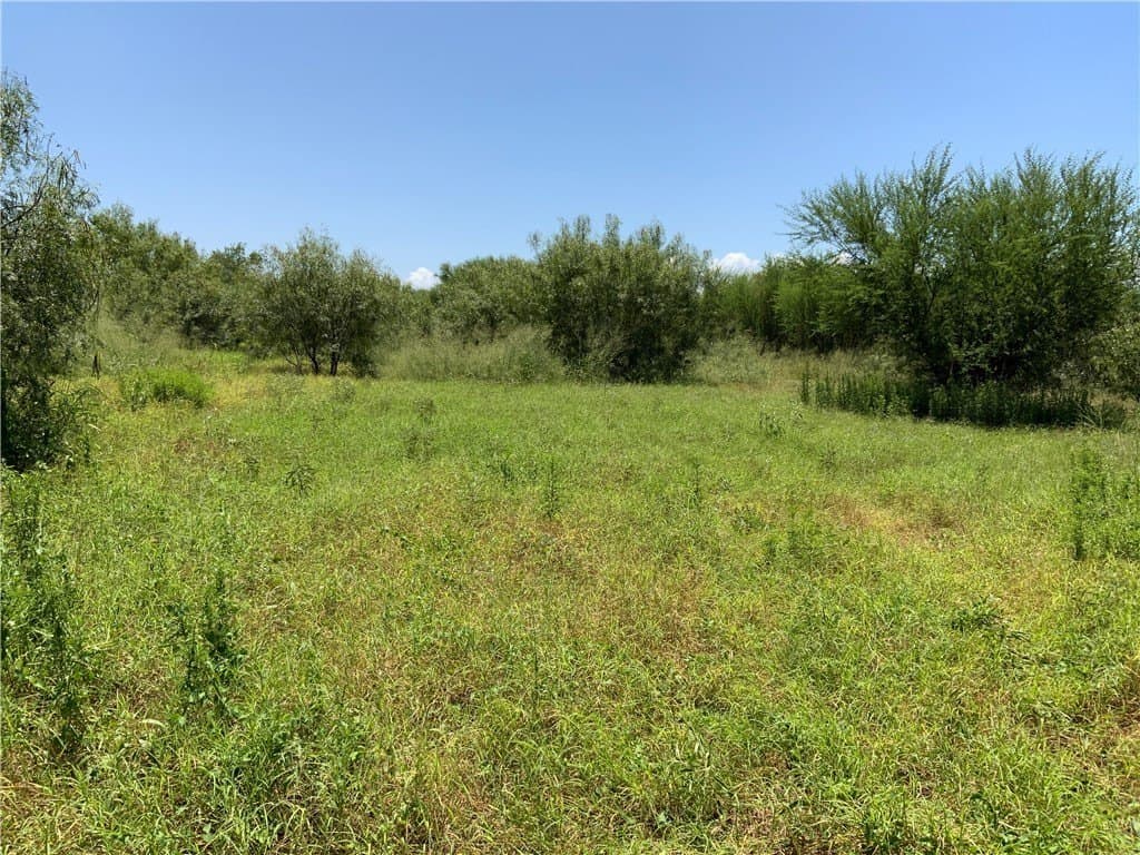 50.94 acres in San Patricio County featured view