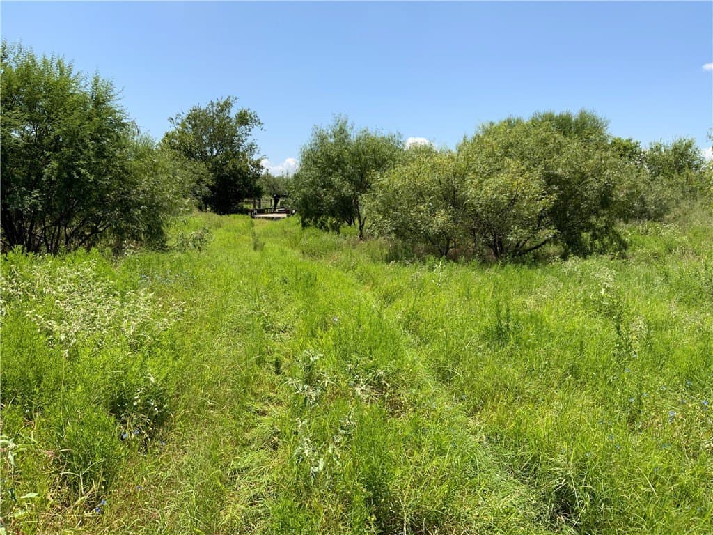 50.94 acres in San Patricio County gallery image 3