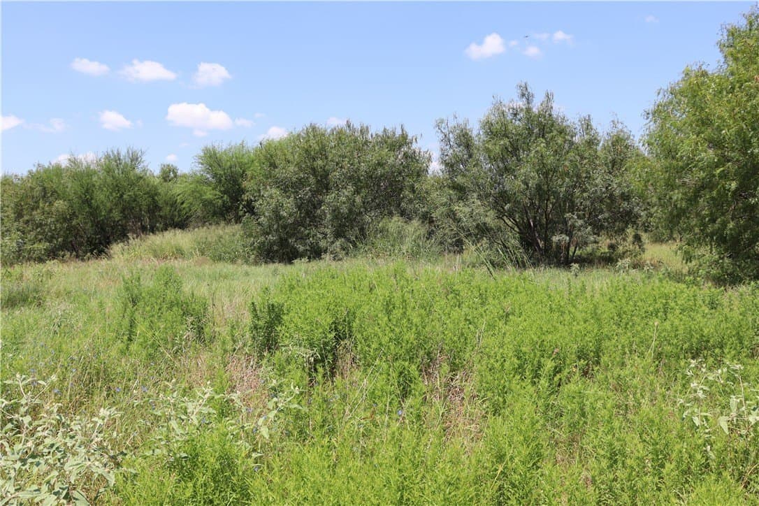 50.94 acres in San Patricio County gallery image 2