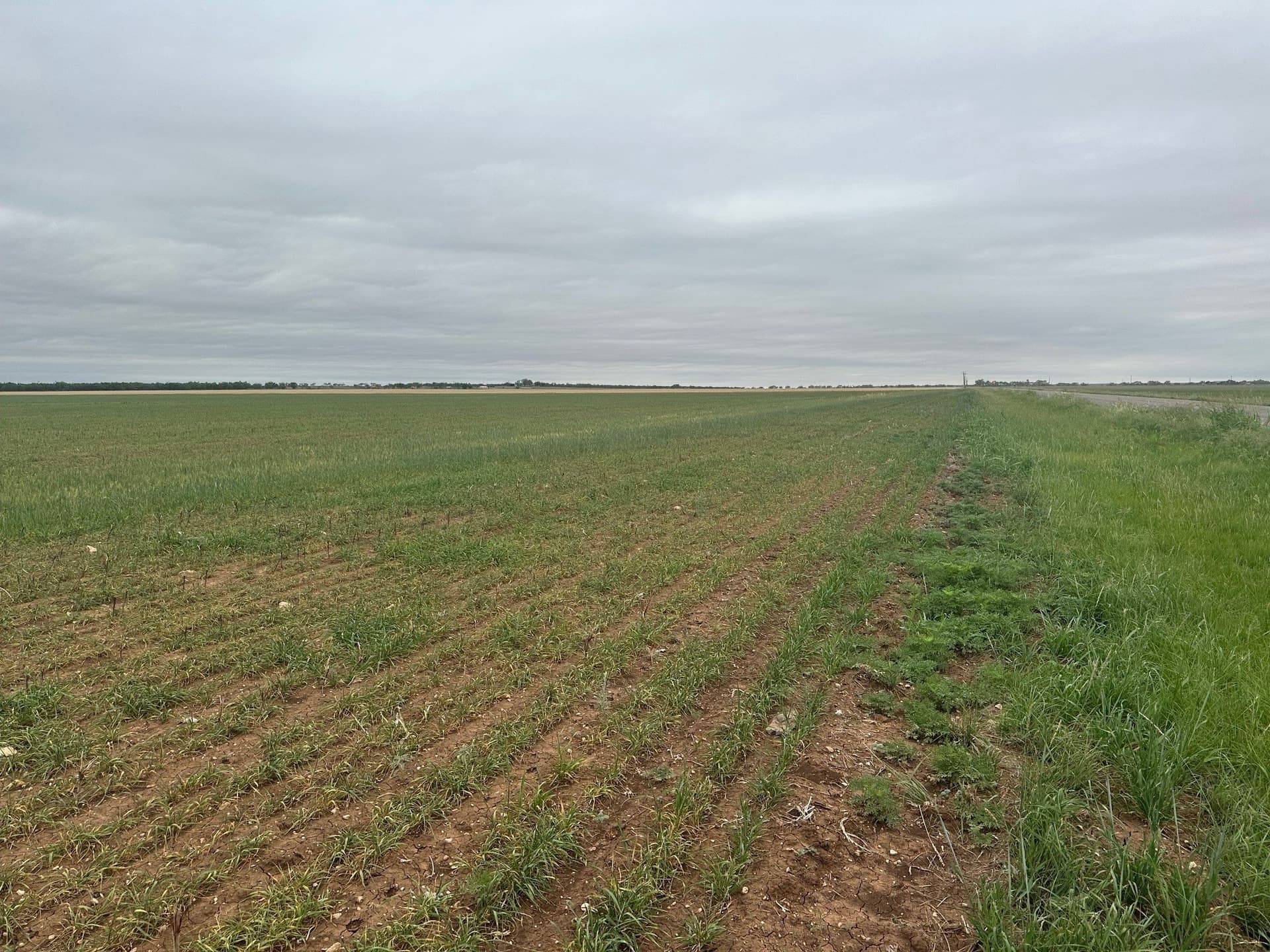 13.4 acres in Jones County gallery image 2