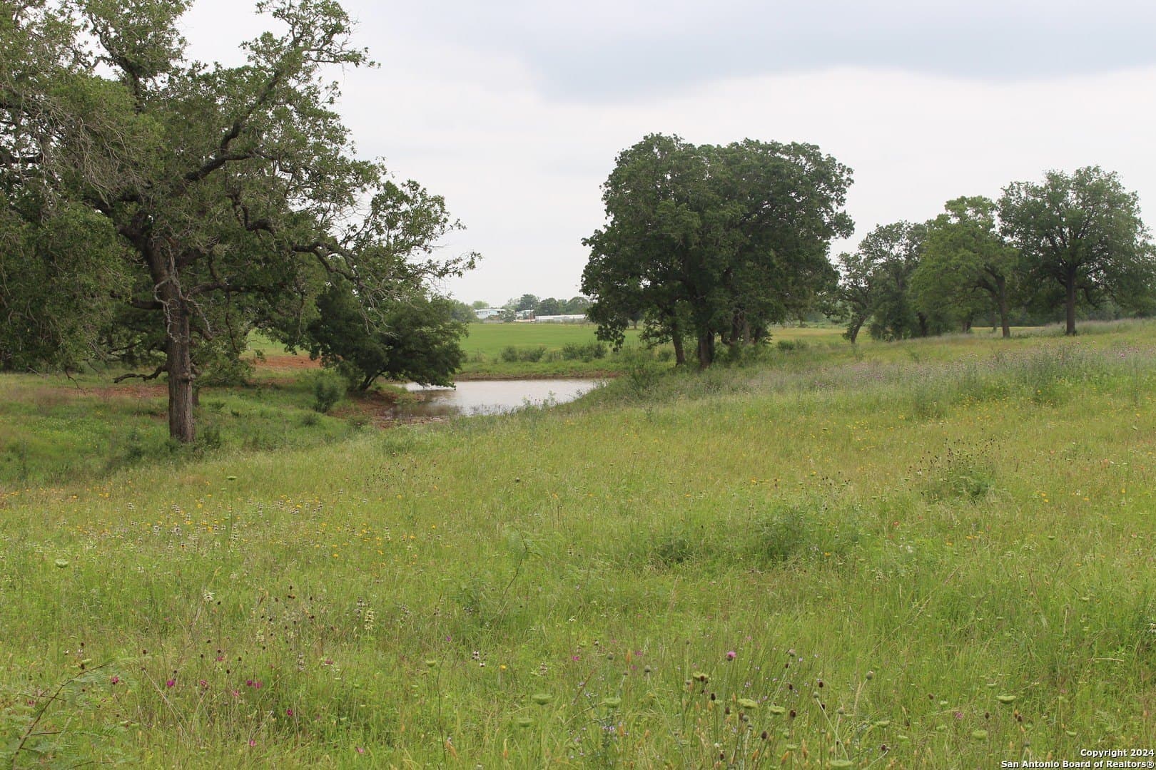 35.77 acres in Guadalupe County featured view
