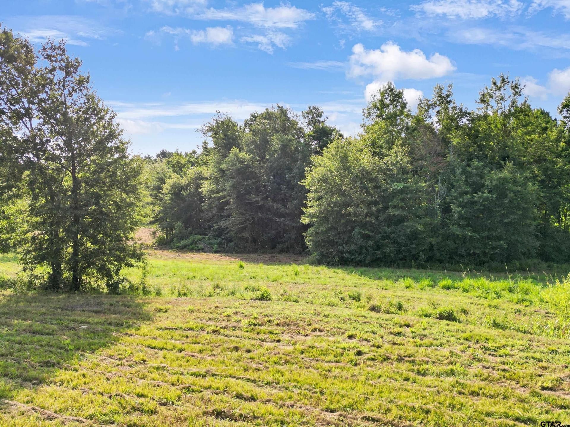 77 acres in Upshur County - photo 33