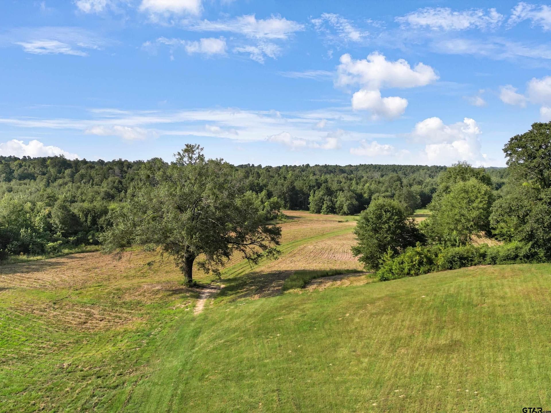 77 acres in Upshur County - photo 4