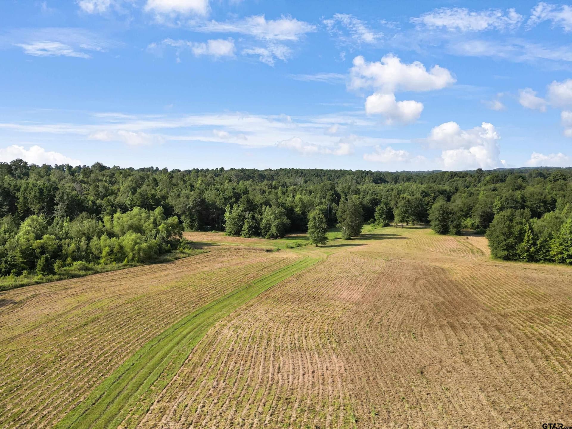 77 acres in Upshur County - photo 34