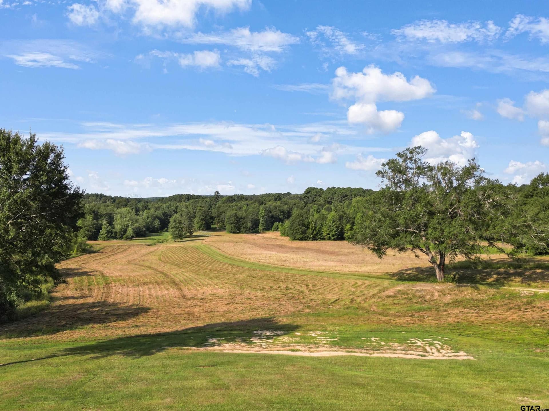 77 acres in Upshur County - photo 3
