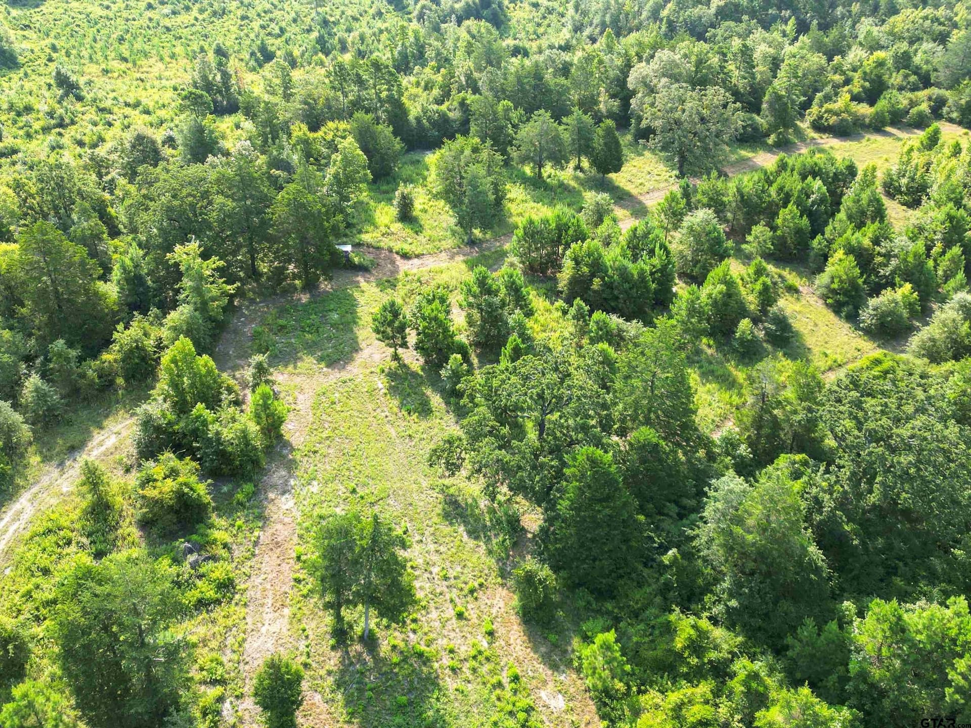 77 acres in Upshur County - photo 30
